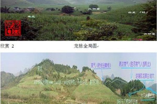 农村墓地风水对家族运势的影响分析