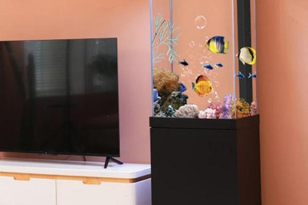 水族箱风水秘籍：打造家居生财旺运的海洋宝地