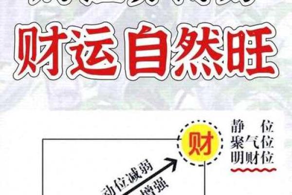 广西风水名师网揭秘：家居风水布局，助你财运亨通、事业兴旺