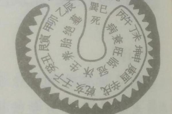 理解建筑风水:从选址到室内布局的全方位指南 理解建筑风水:从选址到室内布局的全方位指南