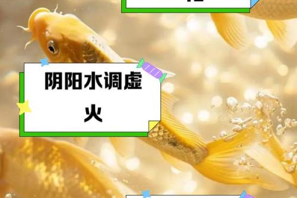 风水中的水元素与健康运势的密切关系 风水中的水元素与健康运势的密切关系