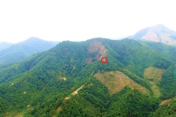 雨后春笋，伞开风水新篇章