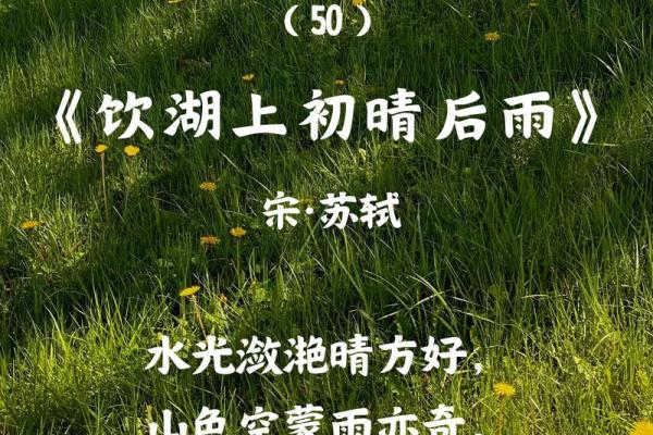 雨后春笋，伞开风水新篇章