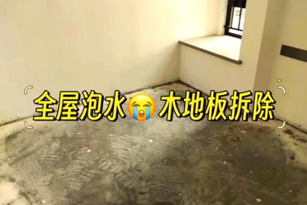泡水房子风水揭秘:如何化解水患影响,还家宅安宁 泡水房子风水揭秘:如何化解水患影响,还家宅安宁
