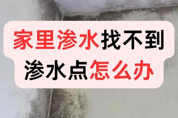 漏水问题与家居风水的关系及应对措施 漏水问题与家居风水的关系及应对措施