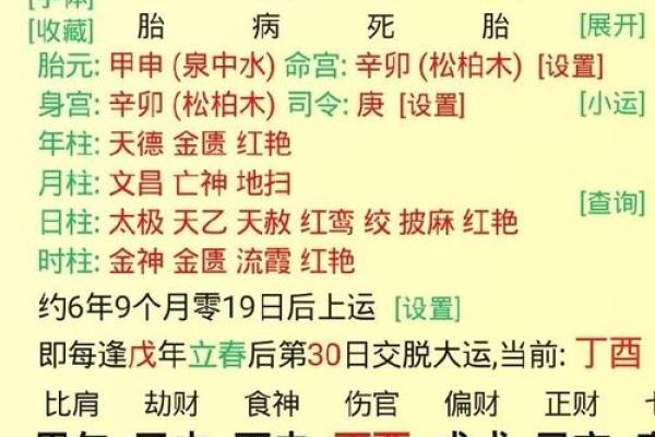 八字丙申丁酉是什么命局 丙申丁酉八字命局的解读和含义