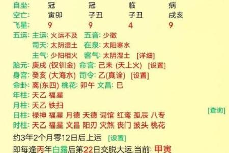八字丙申丁酉是什么命局 丙申丁酉八字命局的解读和含义