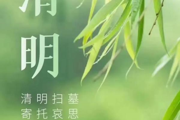 3月30扫墓吉日_3月30日适宜扫墓日