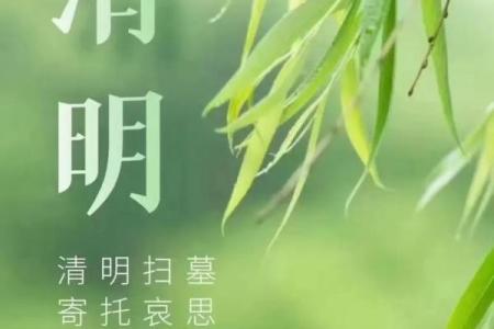 3月30扫墓吉日_3月30日适宜扫墓日